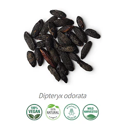 Aceite Haba Tonka (esencial)  INCI: Dipteryx odorata