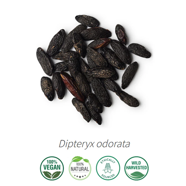 Aceite Tonka (esencial)  INCI: Dipteryx odorata