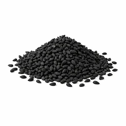Aceite Comino Negro (vegetal) INCI: Nigella Sativa Linn