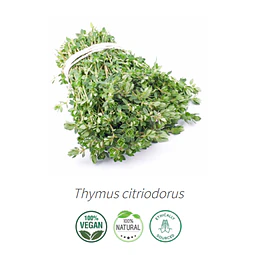 Aceite Tomillo limon (Esencial) NB: Thymus citriodorus