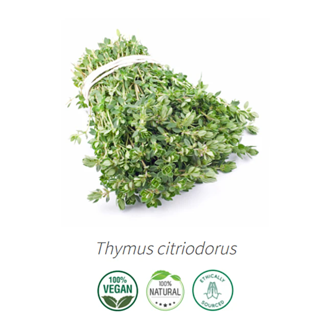 Aceite Tomillo limon (Esencial) NB: Thymus citriodorus