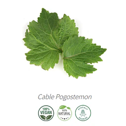 Aceite Pachuli / Patchouli Oscuro  Intenso (nuevo)  de India (Esencial) NB: Cable Pogostemon 