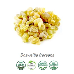 Aceite incienso Frereana 2 (Esencial) (NUEVO PROVEEDOR) Superior NB: Boswellia Frereana