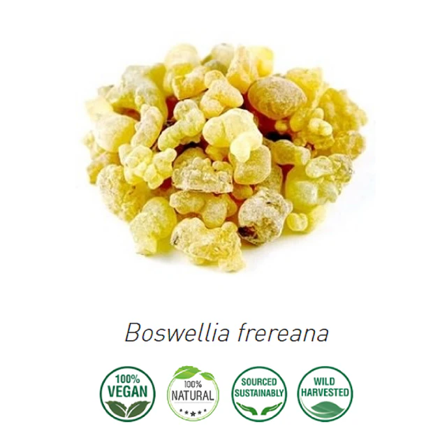 Aceite incienso Frereana 2 (Esencial) (NUEVO PROVEEDOR) Superior NB: Boswellia Frereana