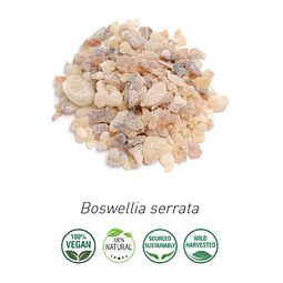 Aceite Incienso Serrata  2 / Olibanum Indio (Esencial) (NUEVO PROVEEDOR)  NB: Boswellia Serrata