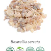Aceite Incienso Serrata  2 / Olibanum Indio (Esencial) (NUEVO PROVEEDOR)  NB: Boswellia Serrata
