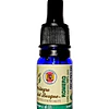Aceite Romero Cineol (esencial) de Tunez (NUEVO) INCI: Rosmarinus officinalis L. ct cineole