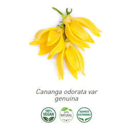 Aceite Ylang Ylang "Completo" (Esencial)  de Comoras (NUEVO) INCI: Cananga odorata var. genuina