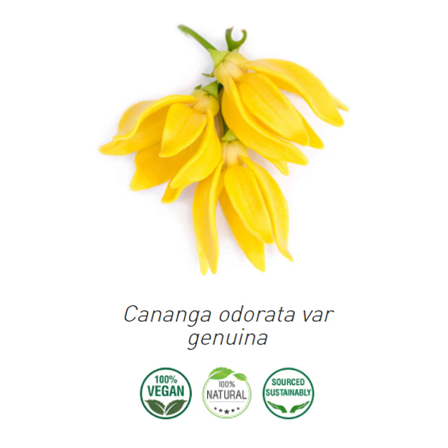 Aceite Ylang Ylang "Completo" (Esencial)  de Comoras (NUEVO) INCI: Cananga odorata var. genuina