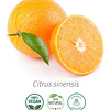 Aceite Naranja Dulce (Esencial)  (NUEVO) de Estados Unidos NB: Citrus Sinensis