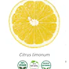 Aceite Limón (Esencial)(NUEVO) de Italia  NB: Citrus Limonum