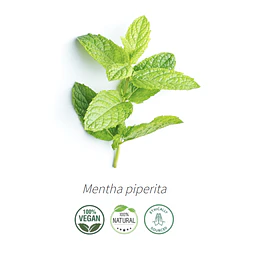 Aceite Menta Piperita (esencial) de India (nuevo) NB: Menhta Piperita