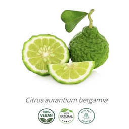 Aceite Bergamota (esencial) de Costa de Marfil (nuevo) NB: Citrus aurantium bergamia