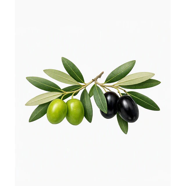 Aceite Oliva (prensado en frio) NB: Olea Europaea Fruit Oil