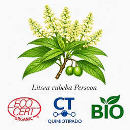 Aceite Verbena Exotica BIO - CT Citral INCI:  Litsea cubeba Persoon