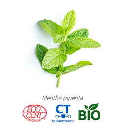 Aceite Menta piperita BIO - CT Menthol INCI: Mentha x piperita L.