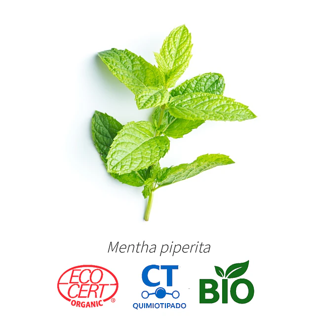 Aceite Menta piperita BIO - CT Menthol INCI: Mentha x piperita L.