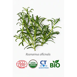 Aceite Romero Cineol BIO - CT Cineol  INCI: Rosmarinus officinalis L.