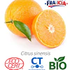 Aceite Naranja Dulce BIO - CT Limonene INCI: Citrus cinensis peel oil expressed Imp. de Francia