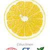 Aceite Limón BIO - CT Limonene INCI: Citrus limon (L.) Burman f. Imp. de Francia