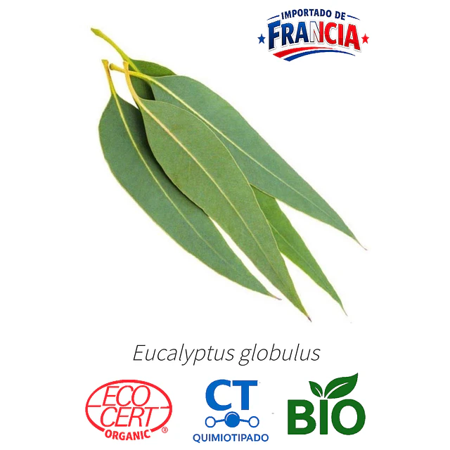 Aceite Eucalipto 80-85 % BIO - CT Cineol (esencial) INCI: Eucalyptus globulus