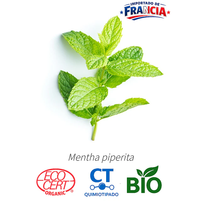 Aceite Menta piperita BIO - CT Menthol INCI: Mentha x piperita L.