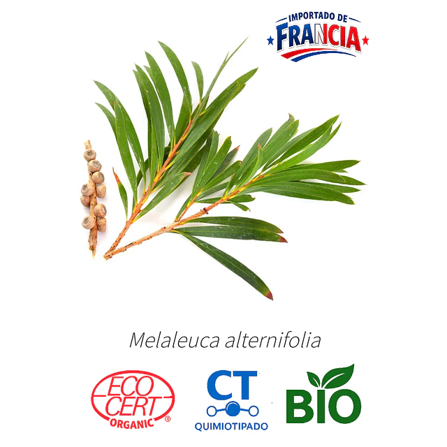 Aceite Arbol de te BIO - CT  INCI: Melaleuca alternifolia 