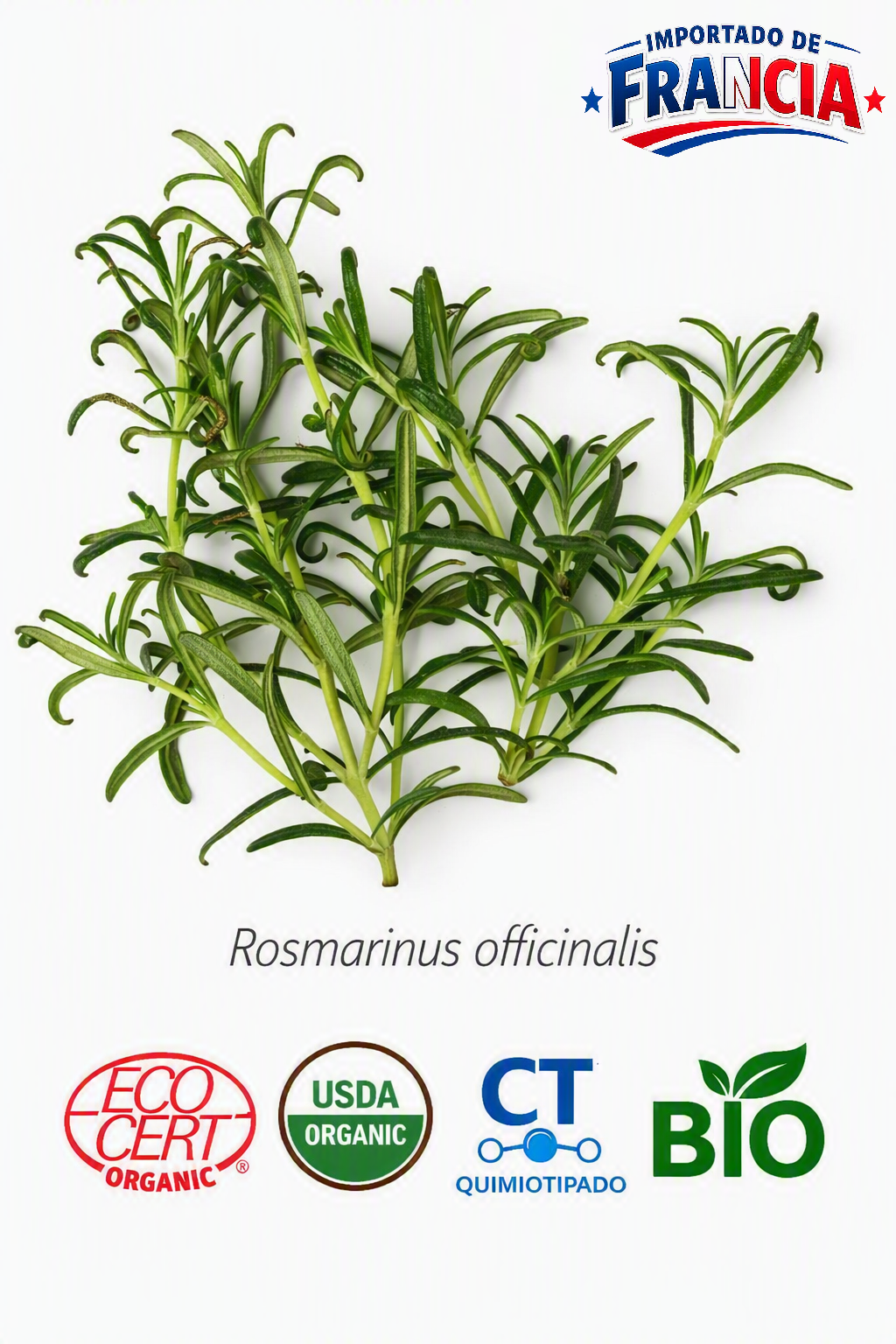 Aceite Esencial de Romero Alcanfor Bio 10 ml (Rosmarinus officinalis)