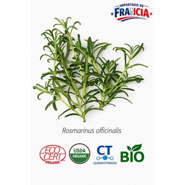 Aceite Romero Cineol BIO - CT Cineol  INCI: Rosmarinus officinalis L.
