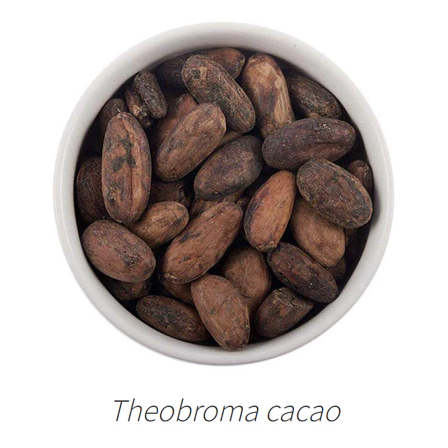 Aceite Cacao NB: Teobroma cacao Importado de Perú