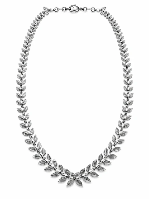 Laurel de Prata