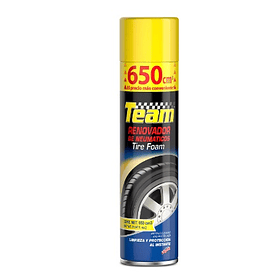 RENOVADOR  SPRAY TEAM  650Cm3