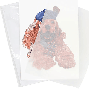 Resma papel siliconado 100 hojas