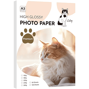 PAPEL DOBLE FAZ GLOSSY A3 DE 200 GRAMOS 50 HOJAS