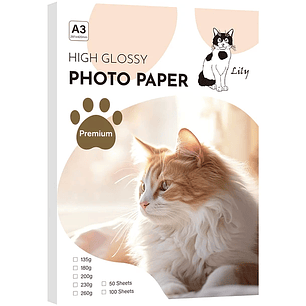 PAPEL DOBLE FAZ GLOSSY A3 DE 260 GRAMOS 50 HOJAS