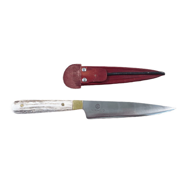 Cuchillo Verijero 16CM | INOX