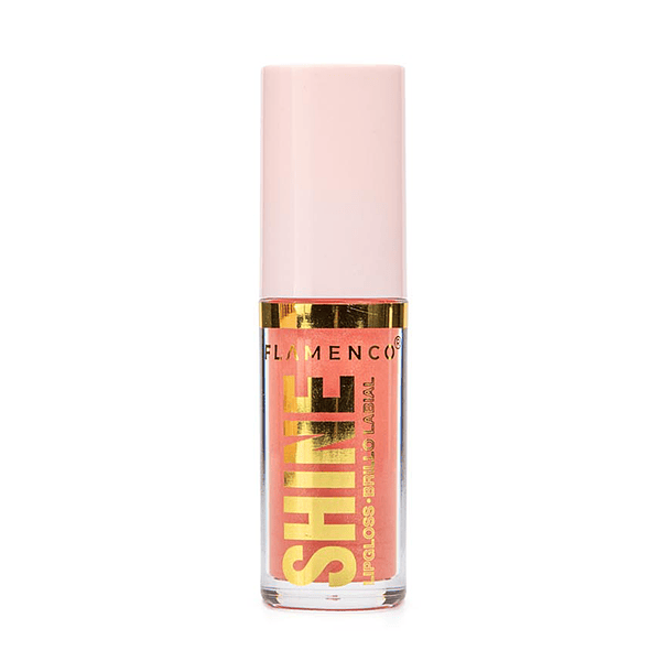 Brillo Labial Shine  4