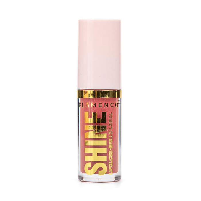 Brillo Labial Shine  5