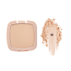 Polvo Fijador Compacto 6