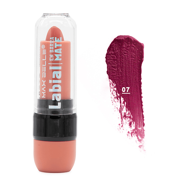 Labial en barra amazing matte 10