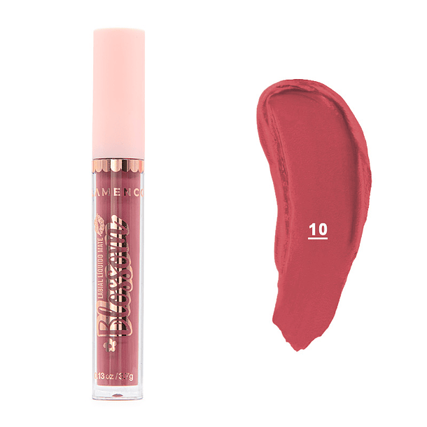 Delineador de Labios + Labial Matte Perfecto  9