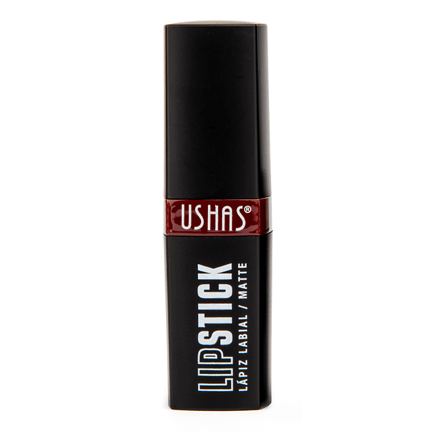 Labial en Barra Negro Matte Midnight 1