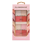 Rubor e Iluminador All-In-One FLAMENCO® 1