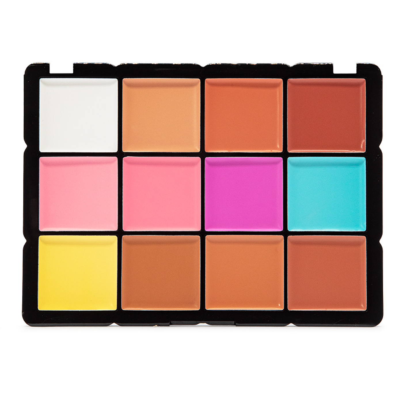 Paleta de Correctores USHAS®