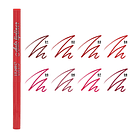 Delineador De Labios USHAS® 9