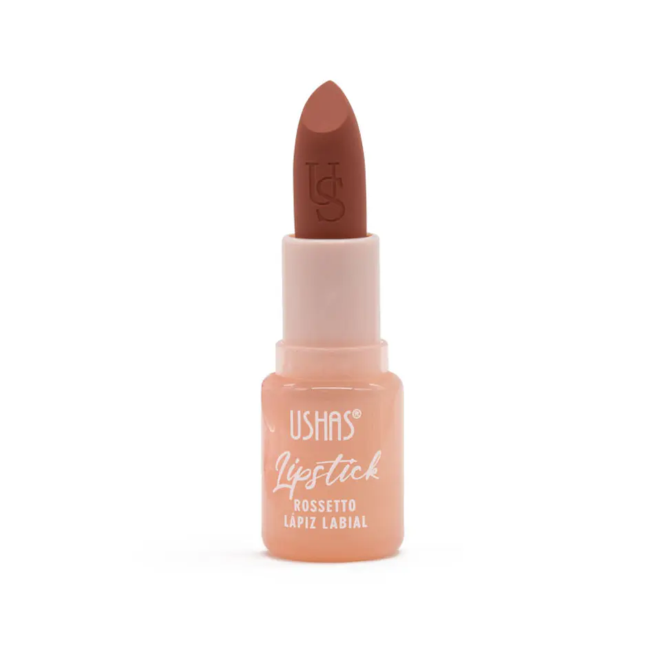 Labial Matte  2