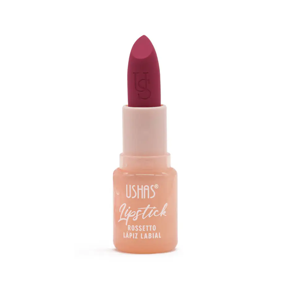 Labial en Barra Lip Stick 2