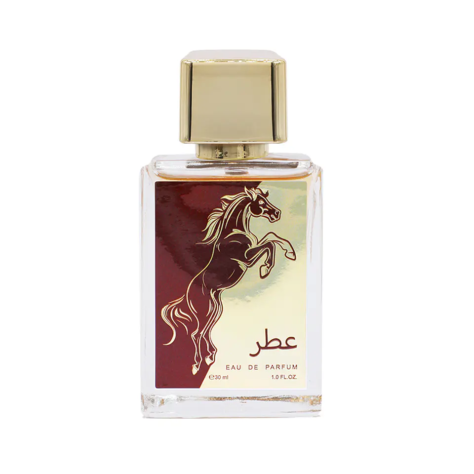 Perfume Árabe Unisex 30ml - 510 1