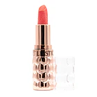 Labial en Barra con Brillos 2