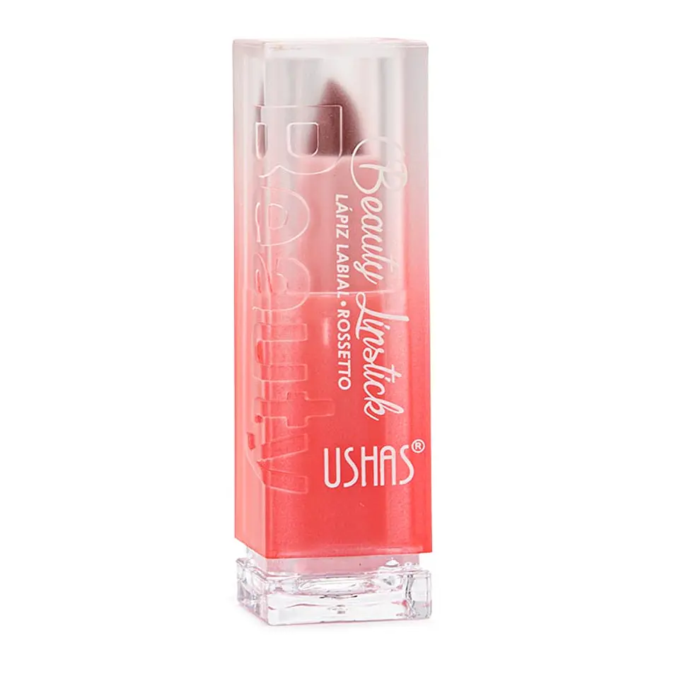 Lápiz Labial Beauty Lipstick 1
